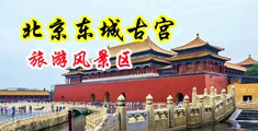 狗鸡巴插进女人黑逼中国北京-东城古宫旅游风景区